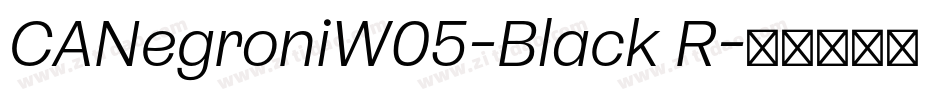 CANegroniW05-Black R字体转换